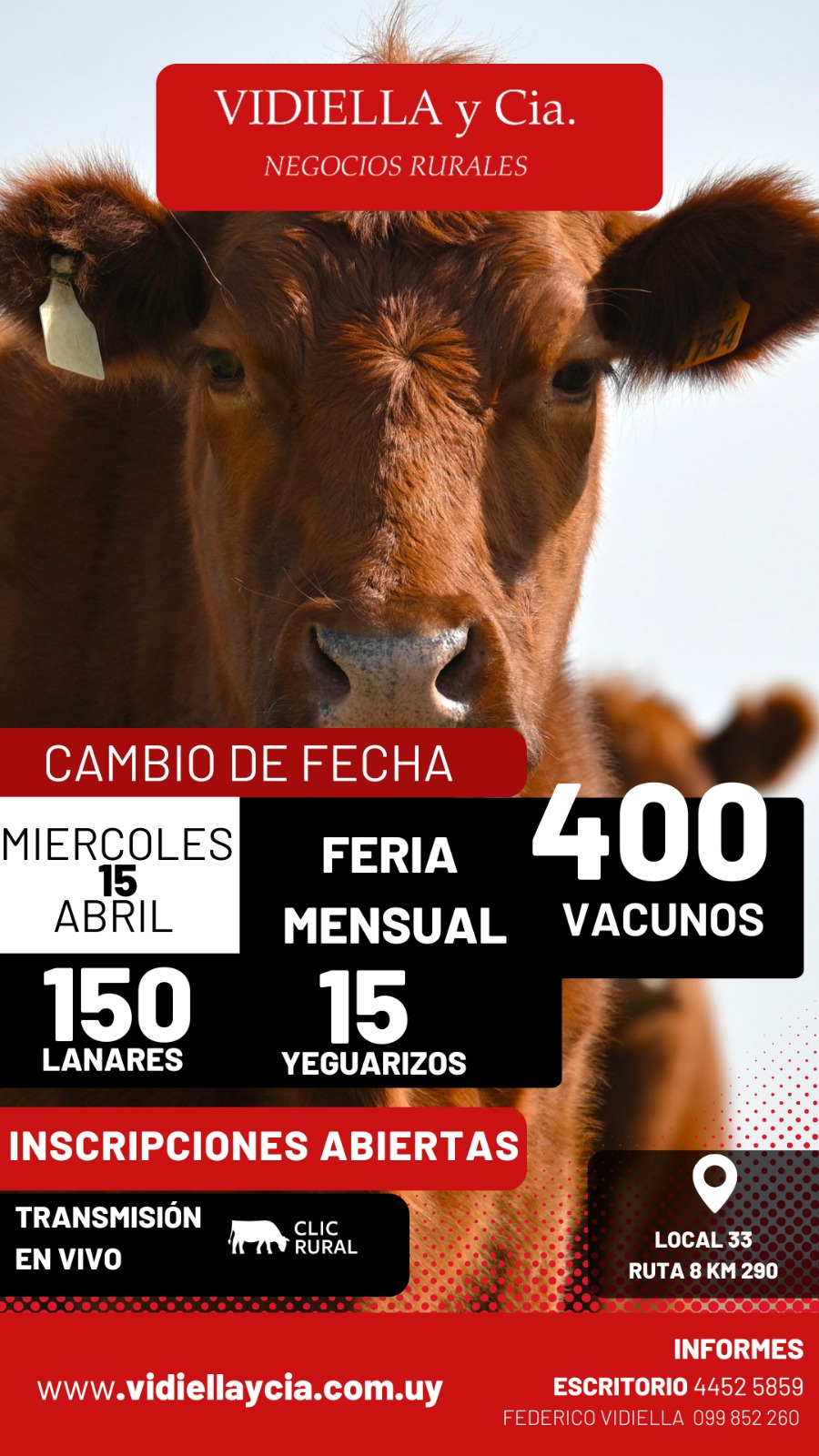 Feria Mensual - Vidiella y Cia