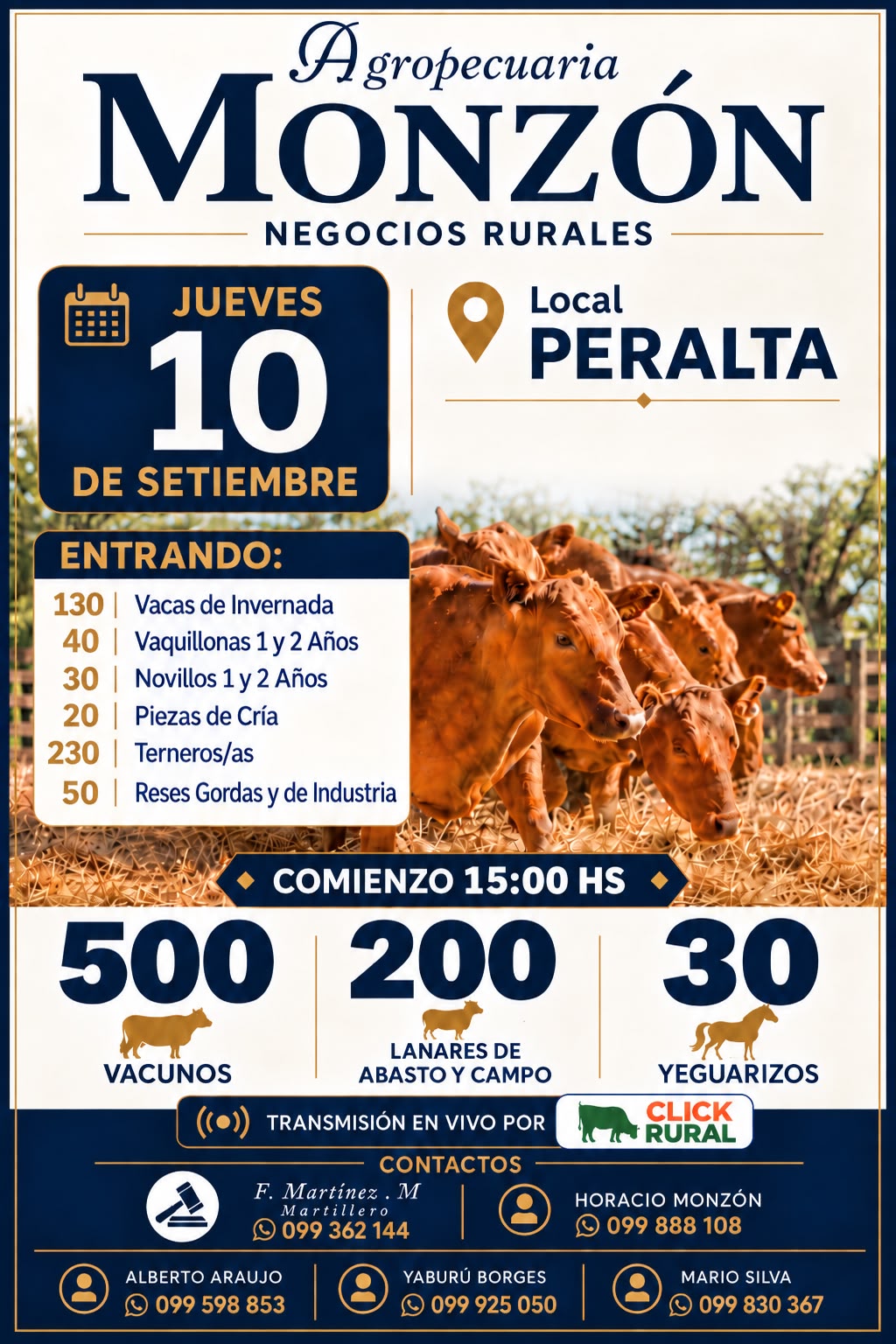 Afiche Feria mensual - Local Peralta