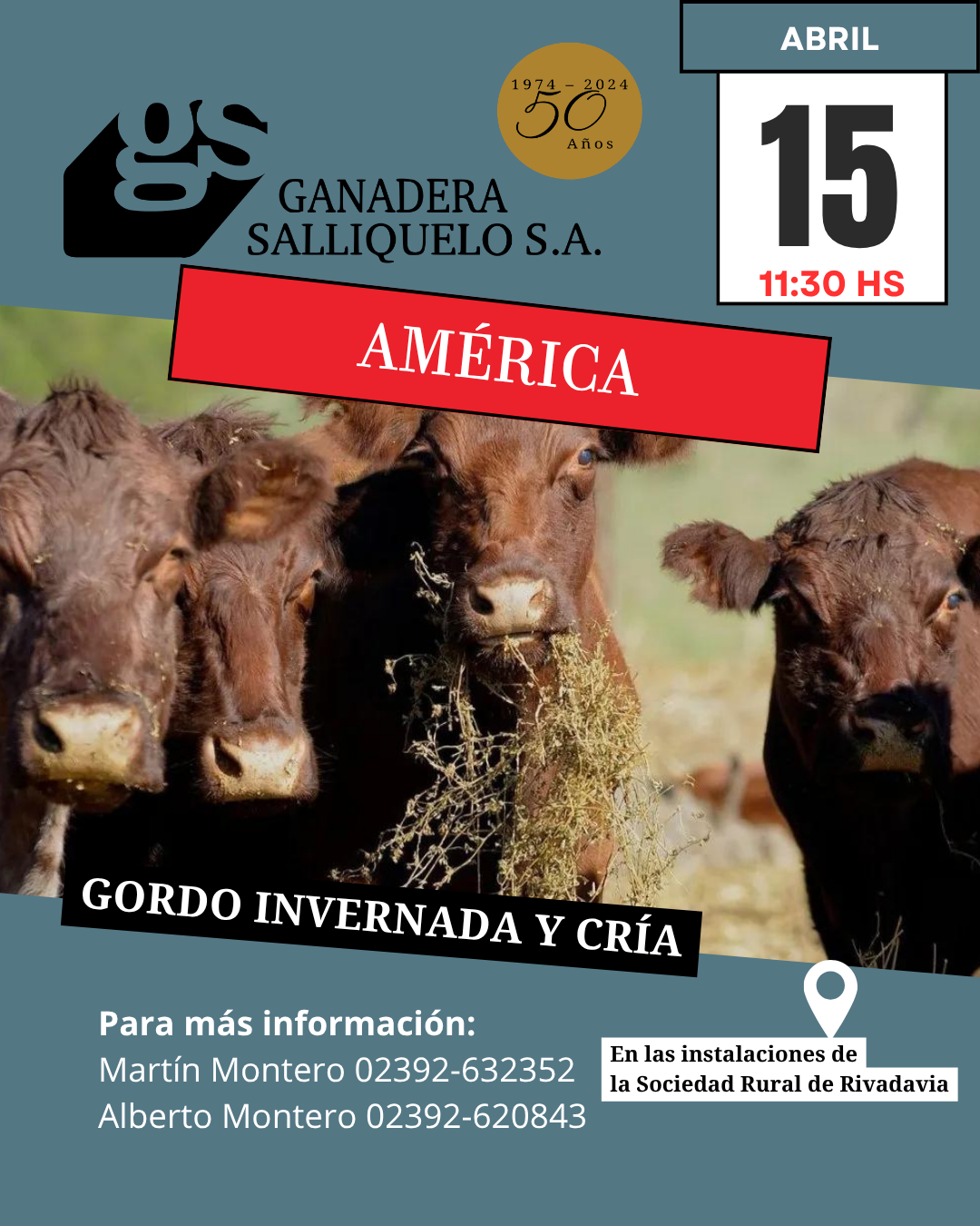 Remate Remate Gordo, Invernada y Cría en América