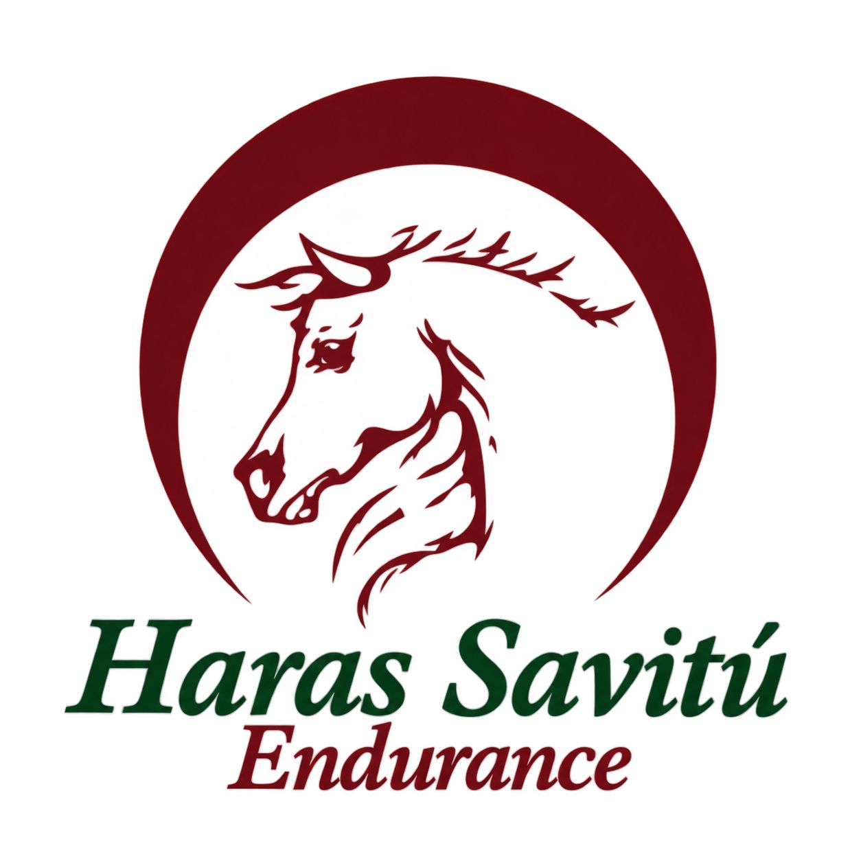 Afiche REMATE HARAS SAVITU - ENDURANCE