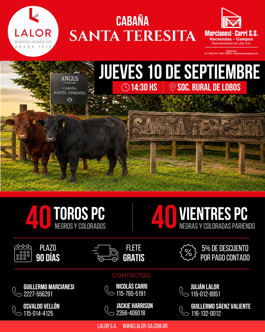 Afiche Cabaña Santa Teresita 