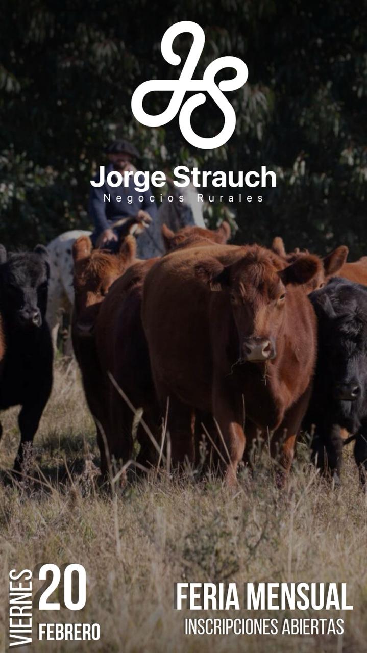 Remate Feria Mensual - Jorge Strauch