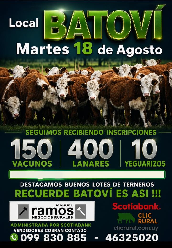 Remate Feria mensual - Manuel Ramos