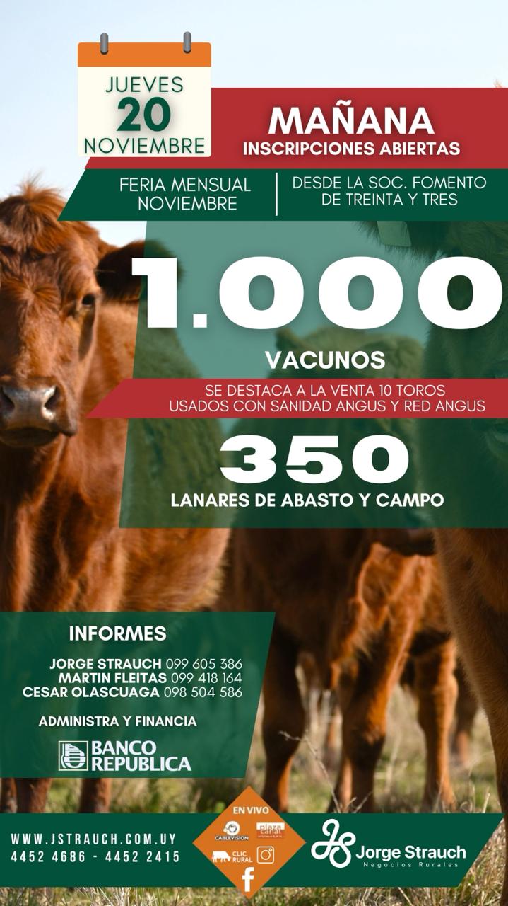 Remate Feria Mensual - Jorge Strauch