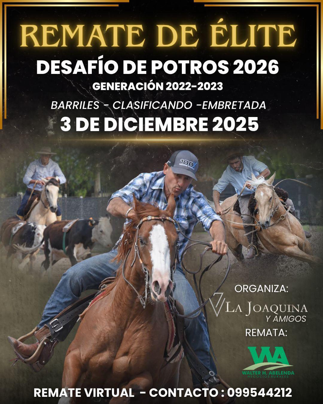 Cabaña La Joaquina e invitados