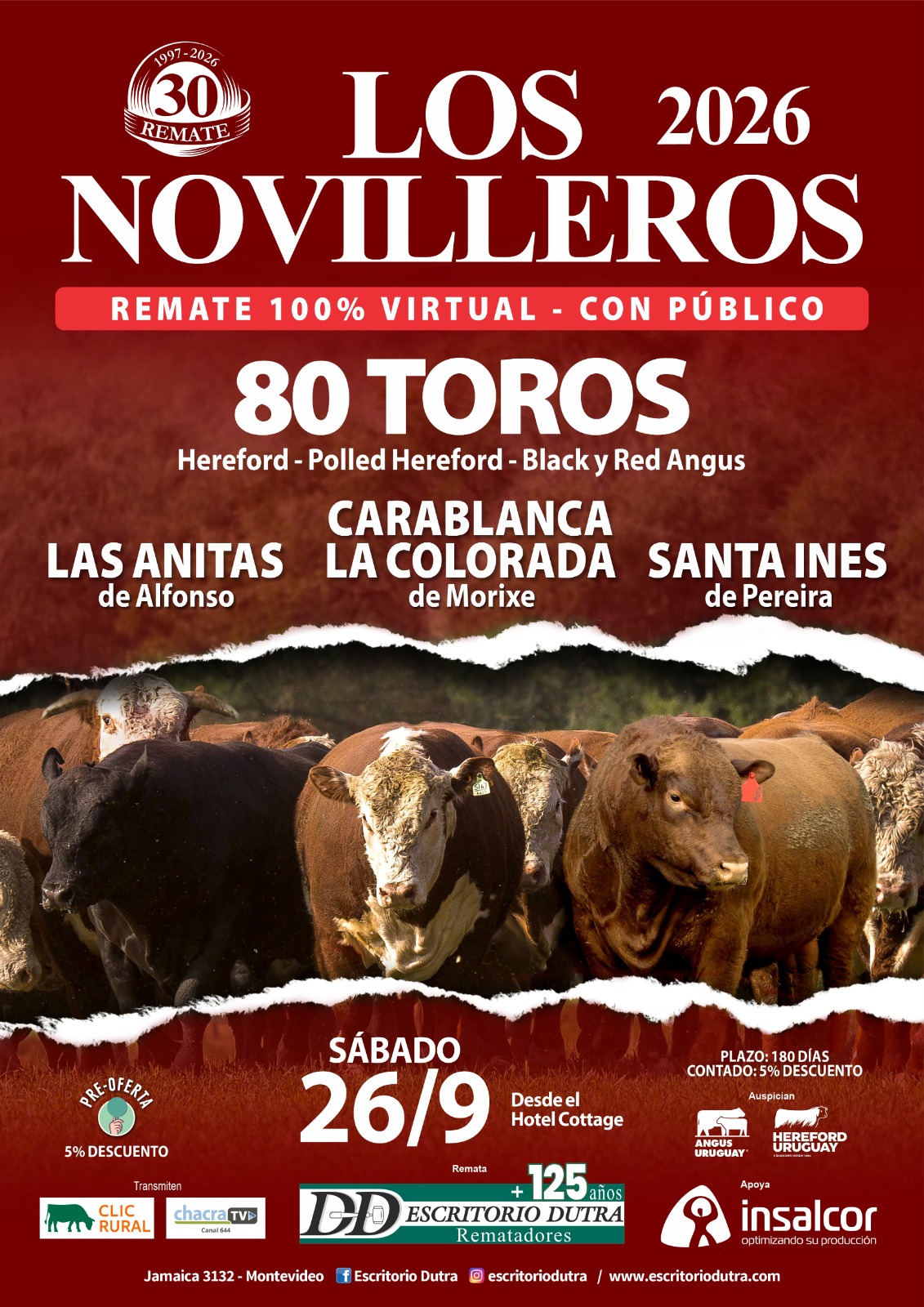 Remate Los Novilleros