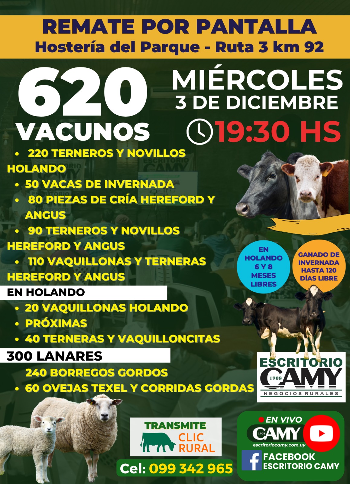 Remate Pantalla Camy