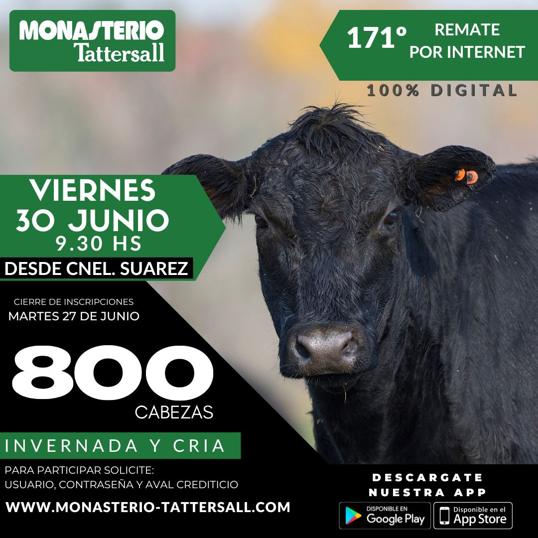 Afiche 171º Remate por internet 30 de Junio