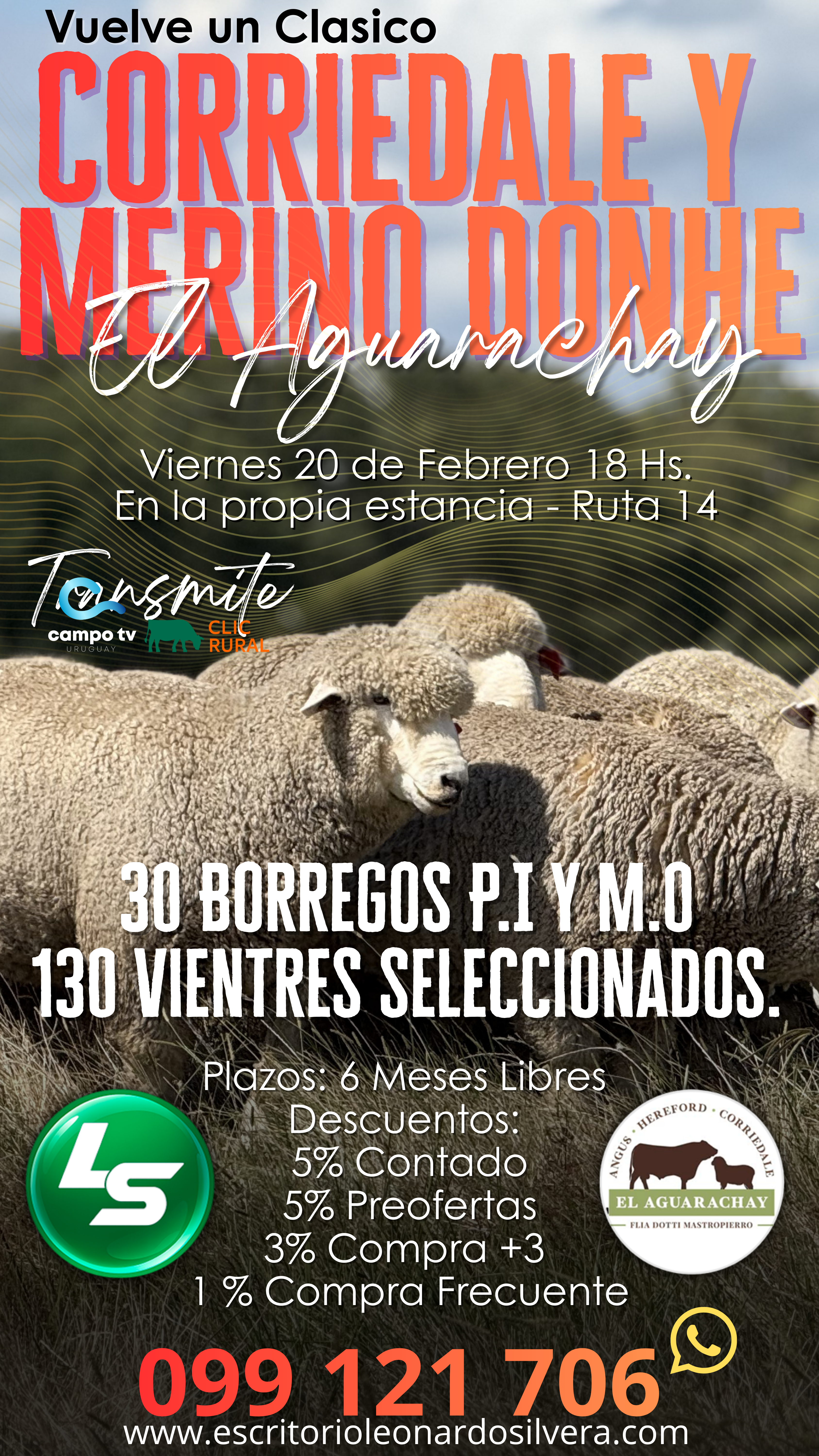 Afiche El Aguarachay