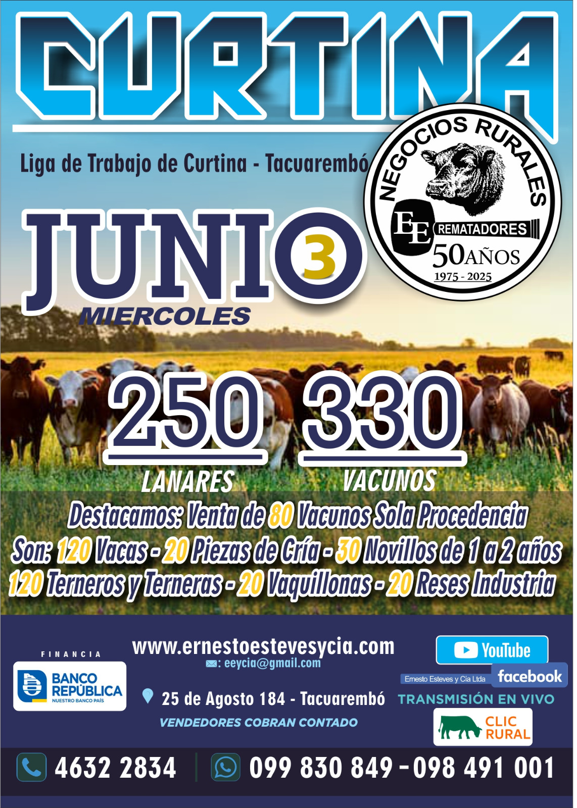 Feria Mensual - Curtina
