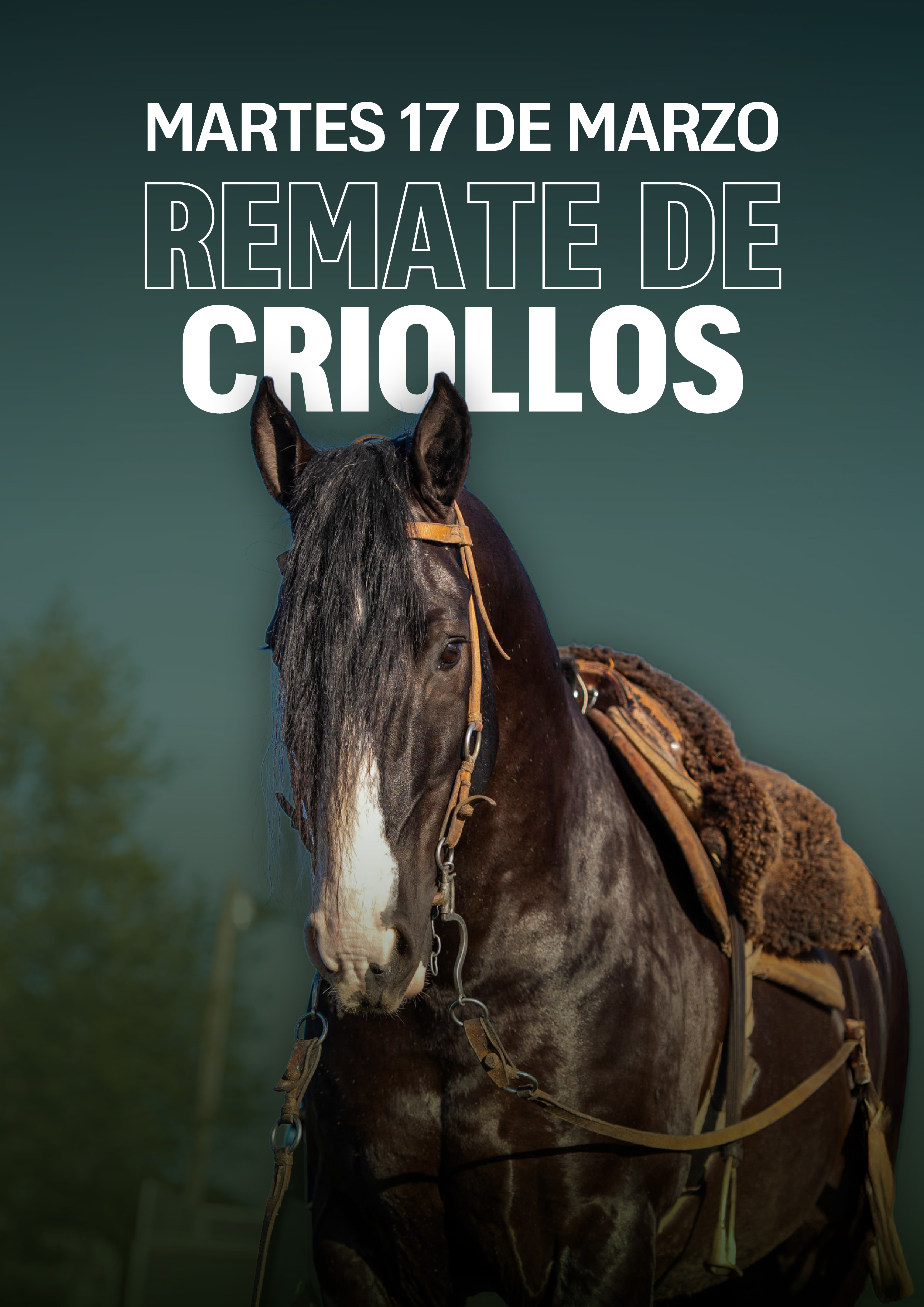 Remate de Criollos