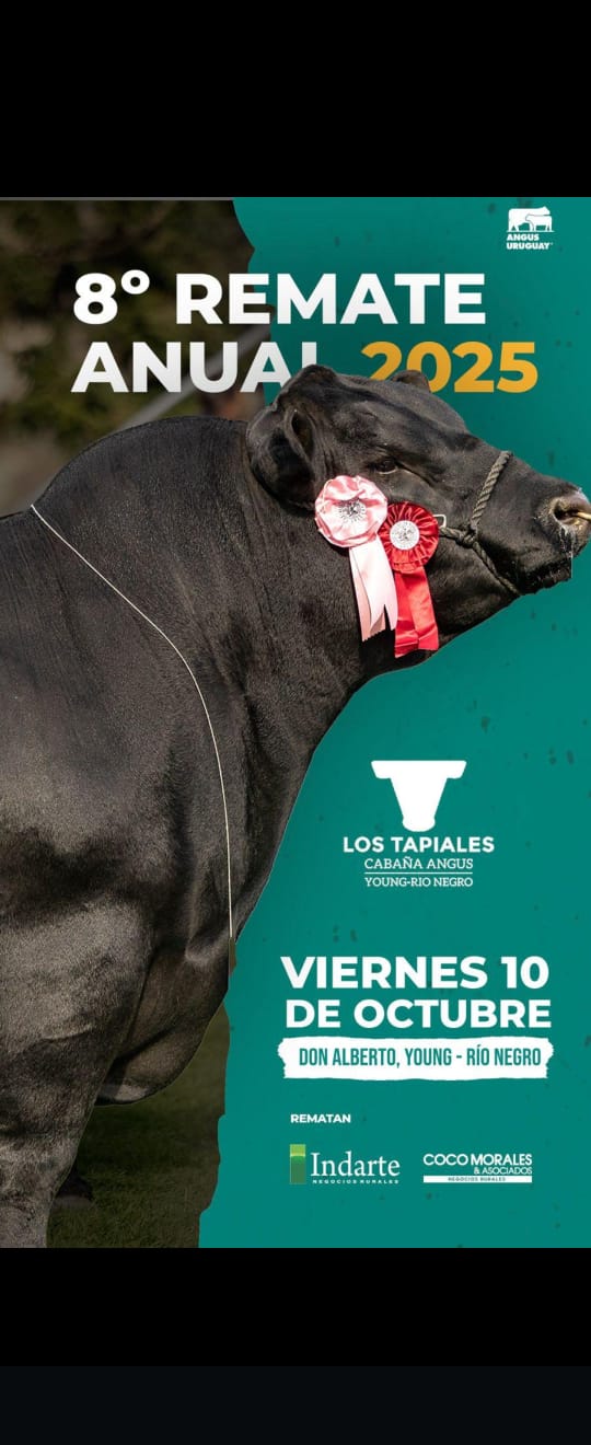 Remate LOS TAPIALES