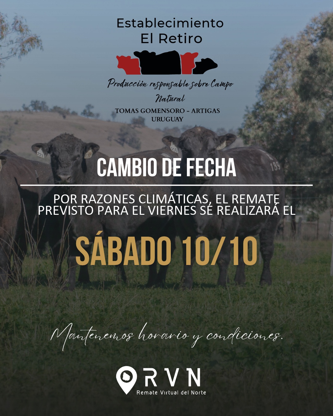 Remate 4º Establecimiento El Retiro