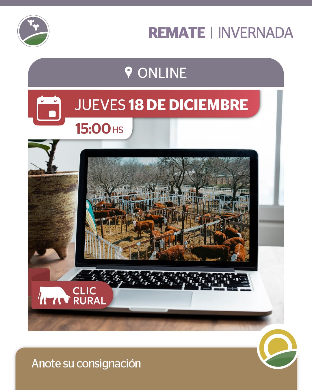 Remate 18 de Diciembre - Sunchales