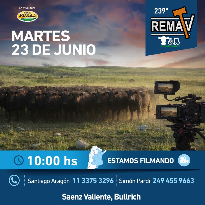 239° RematV