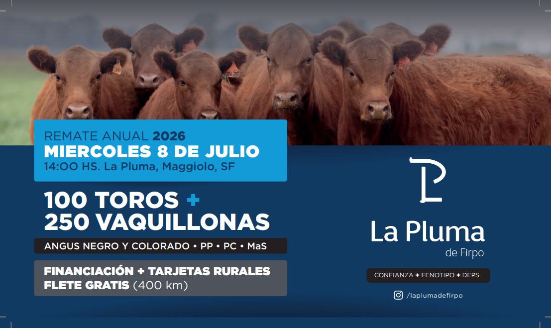 Remate REMATE ANUAL 2026