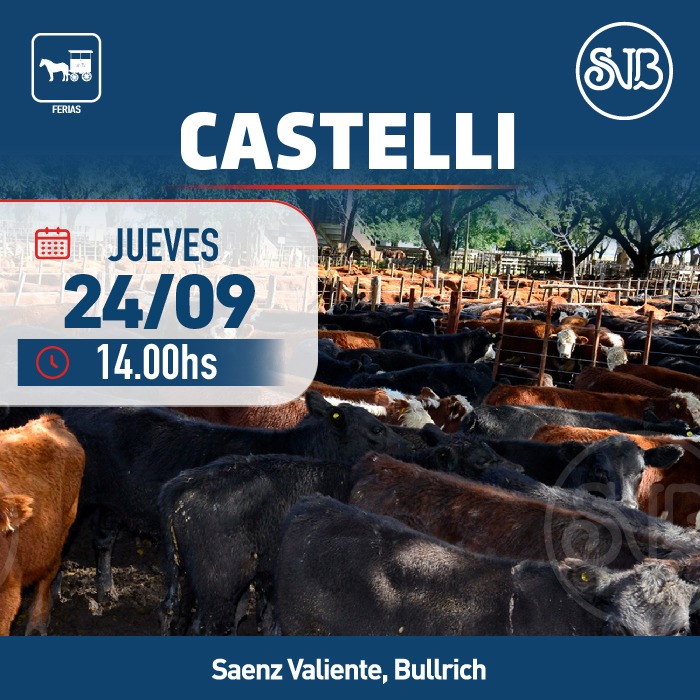 Afiche Feria en Castelli