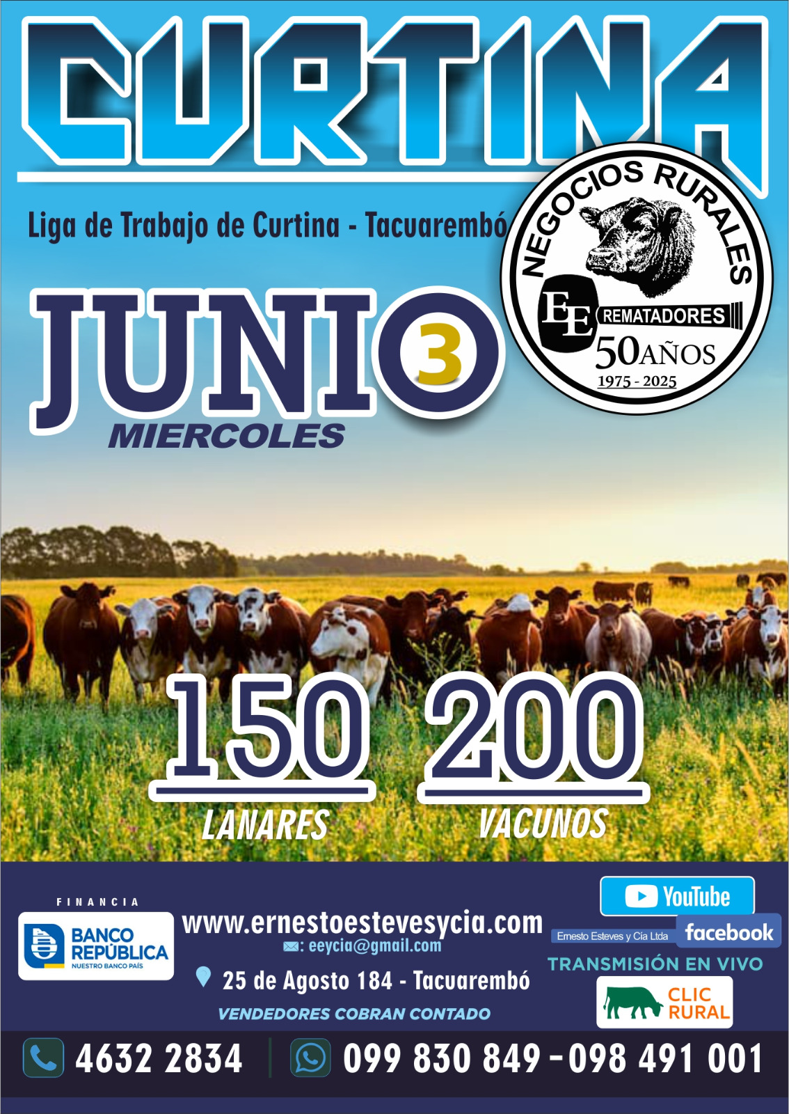 Remate Feria Mensual - Curtina