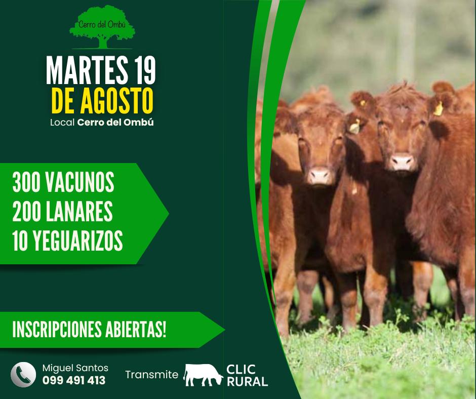 Remate Feria Mensual - Cerro del Ombu