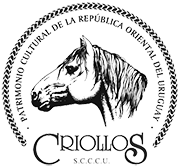 Afiche Muestra de caballos 