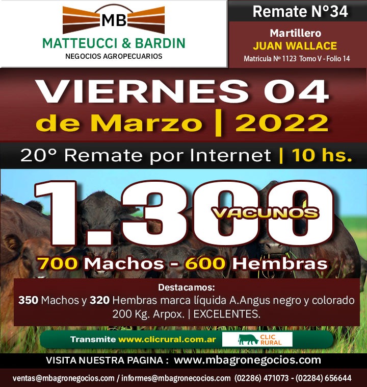 Afiche 20° Remate por Internet
