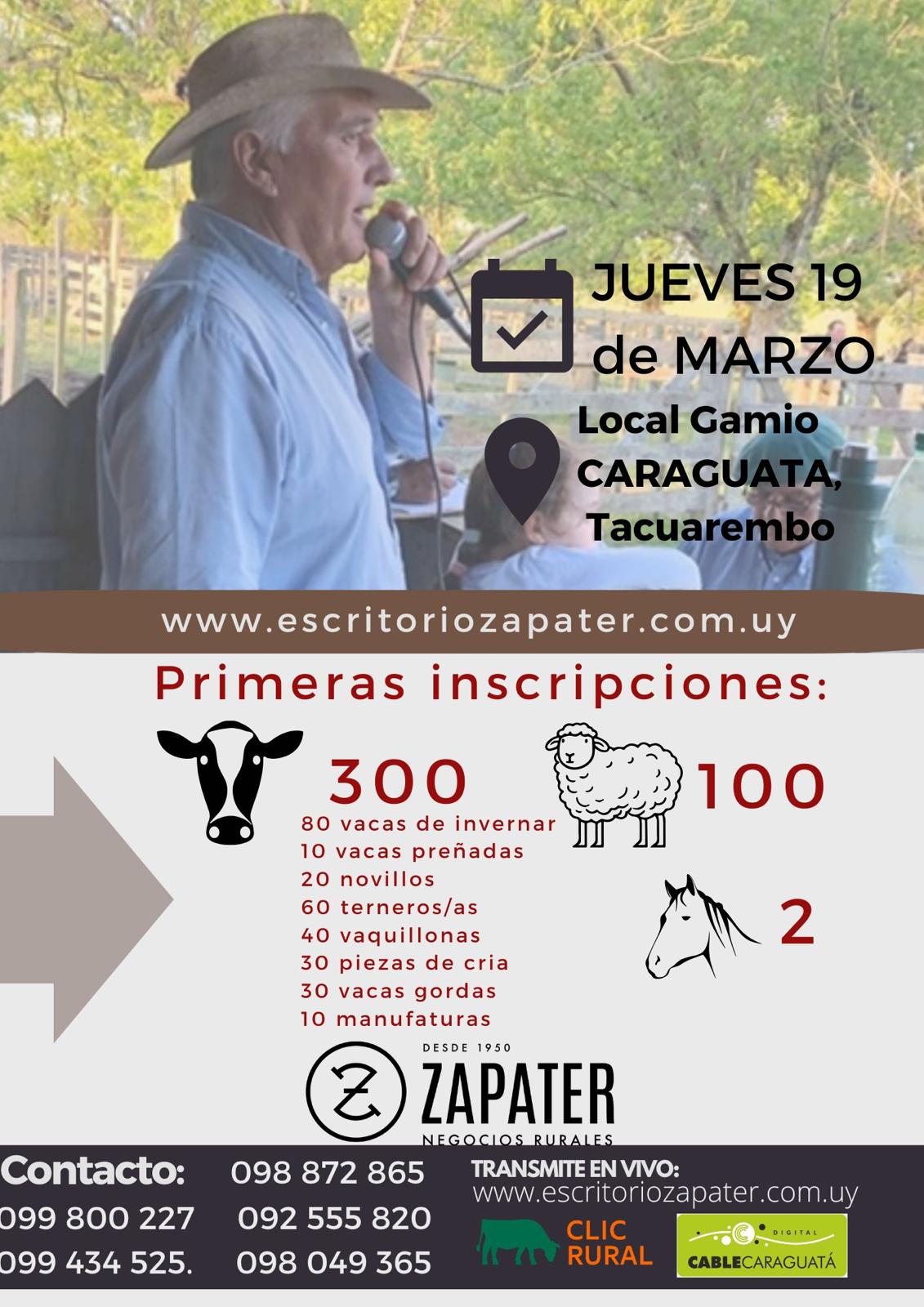 Remate Feria en Local Gamio