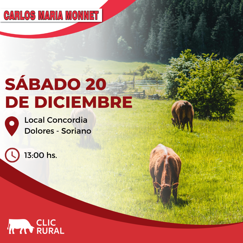 Remate Feria Mensual - Local Concordia