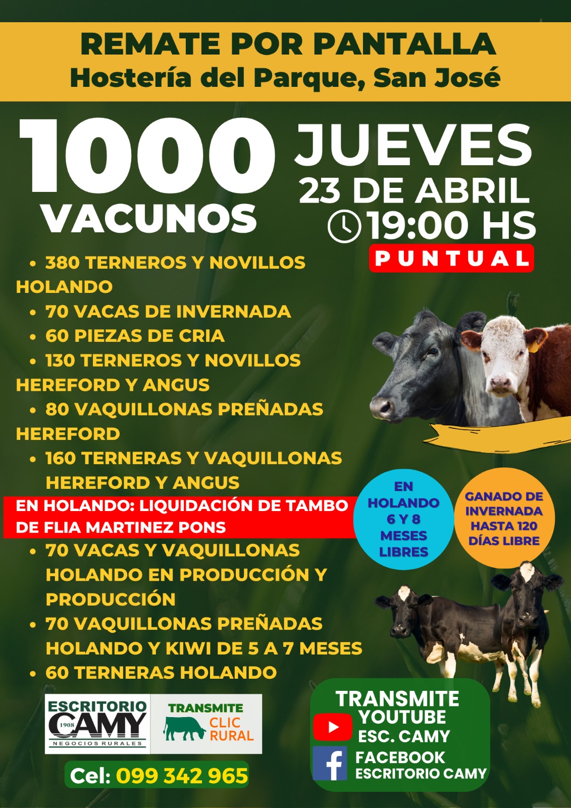 Afiche Pantalla Camy