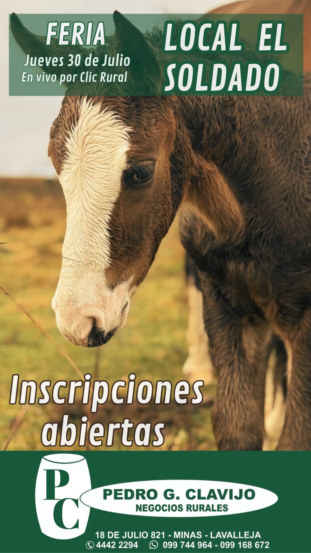 Afiche Feria mensual - El Solado