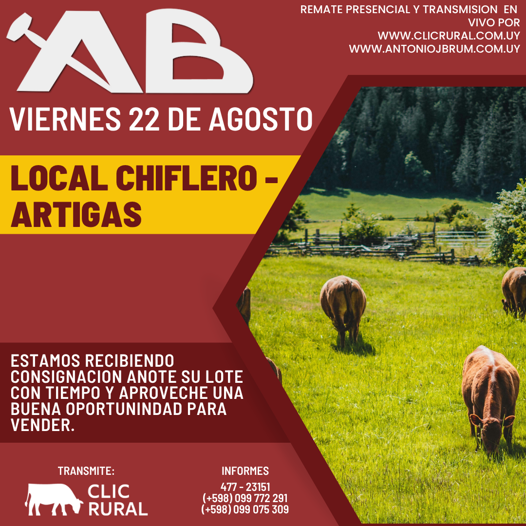 Remate Antonio J Brum - Local Chiflero
