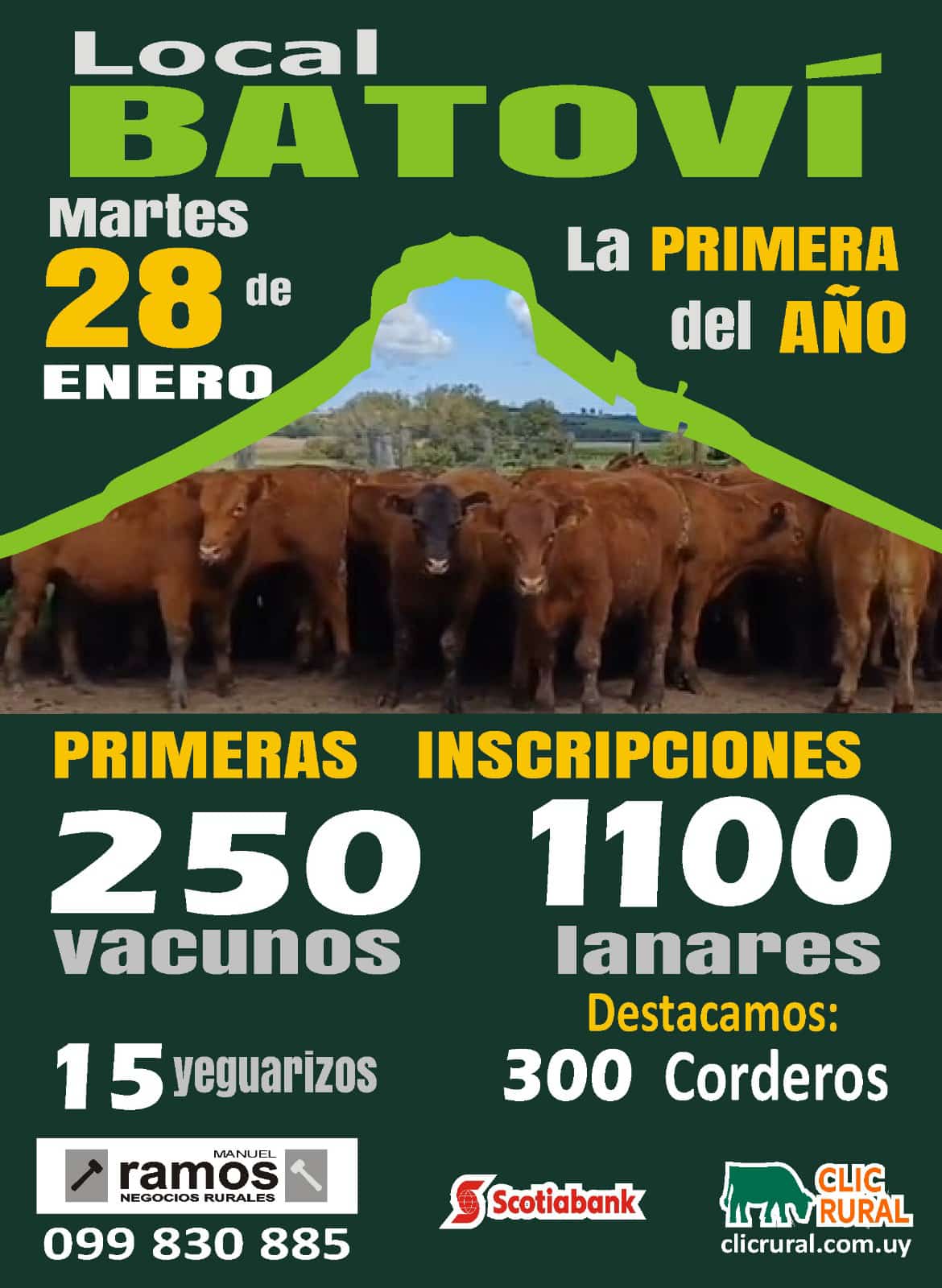 Afiche Feria Mensual - Manuel Ramos