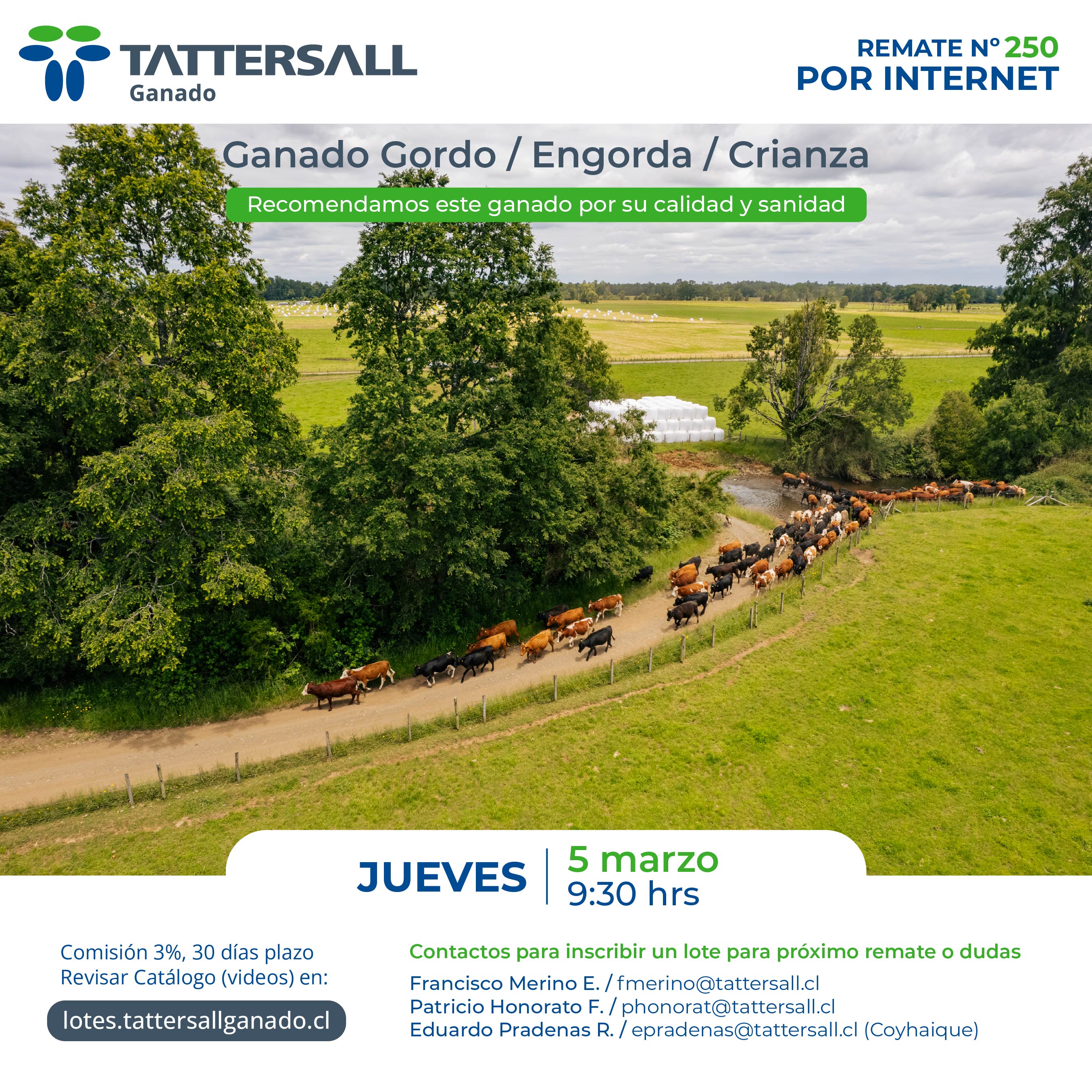 5 de Marzo Ganado Crianza y Engorda