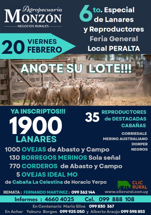 Remate Feria Mensual - Local Peralta