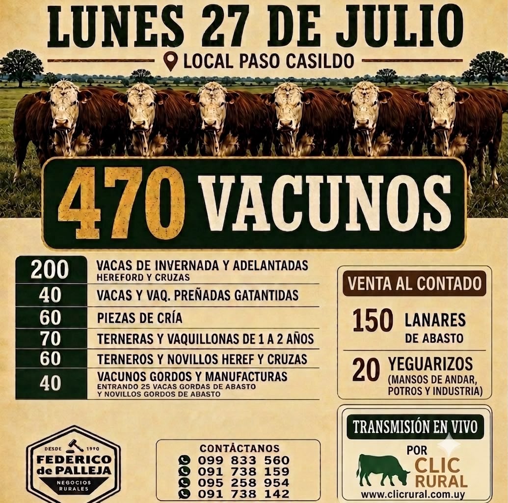 Feria mensual - Federico de Palleja