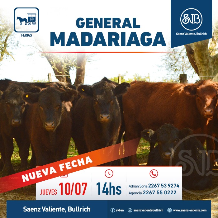 Remate Feria en Gral. Madariaga