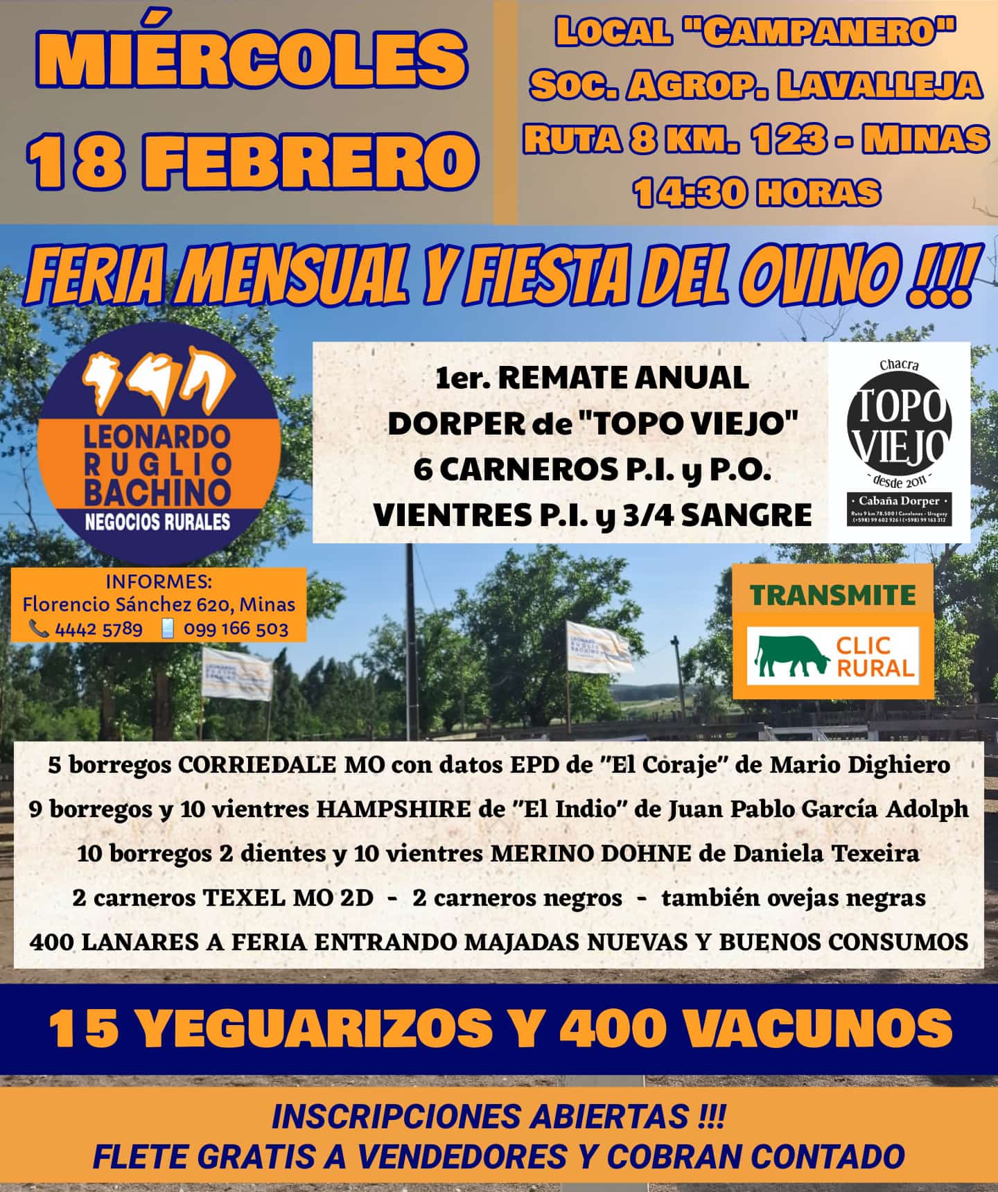 Feria Mensual - Leonardo Ruglio Bachino