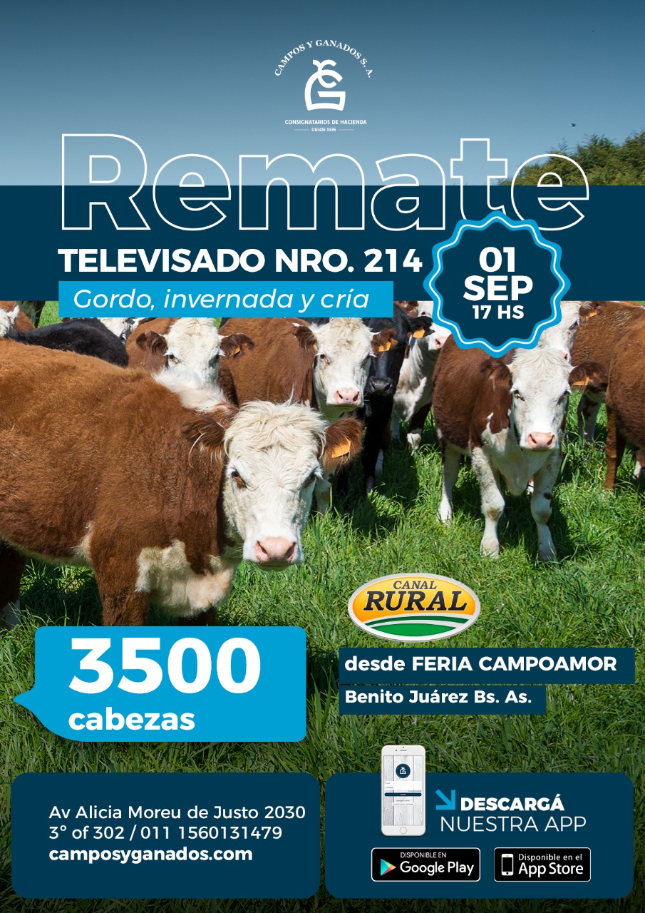 Afiche 214º REMATE POR PANTALLA