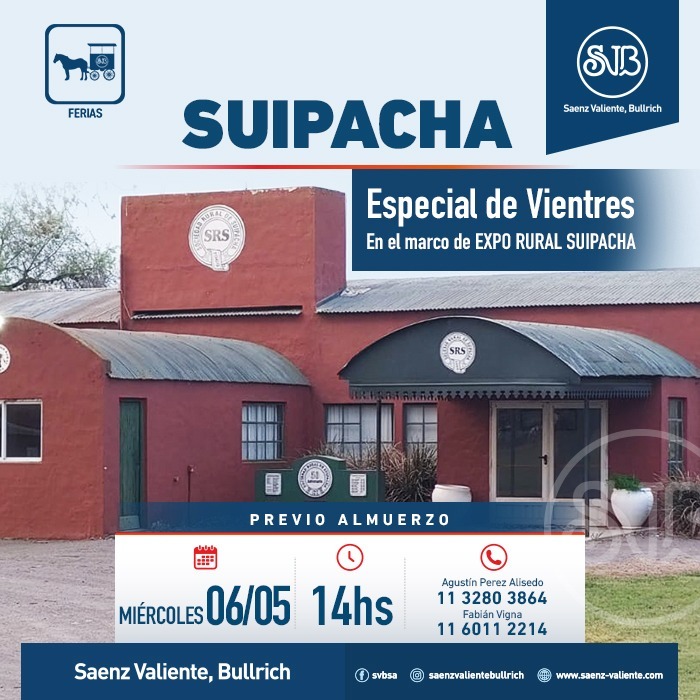 Feria en Suipacha