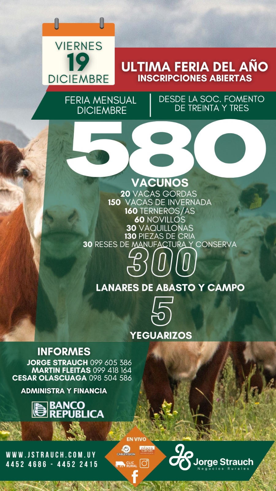 Afiche Feria Mensual - Jorge Strauch