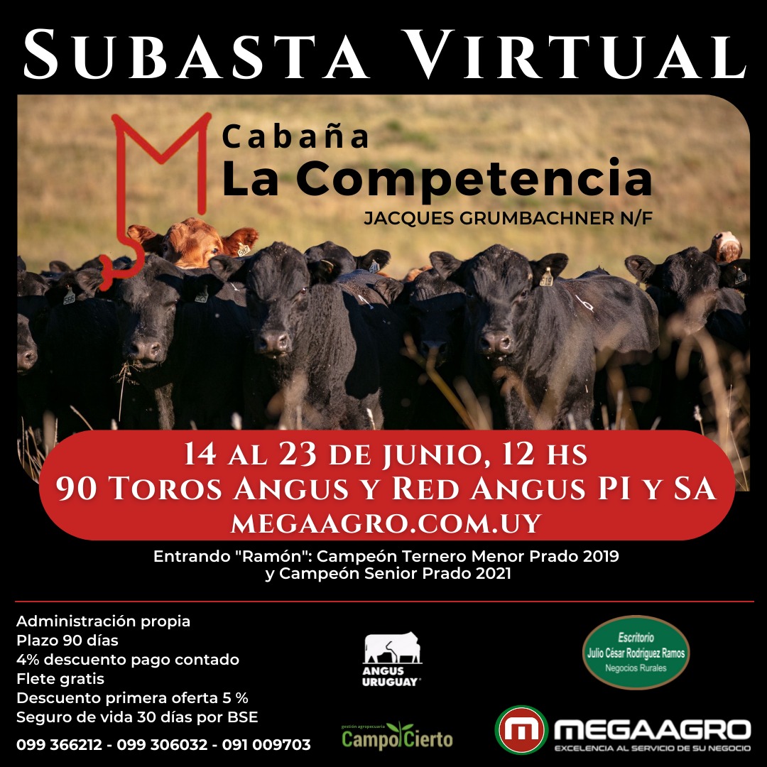 Afiche Subasta Toros de La Competencia