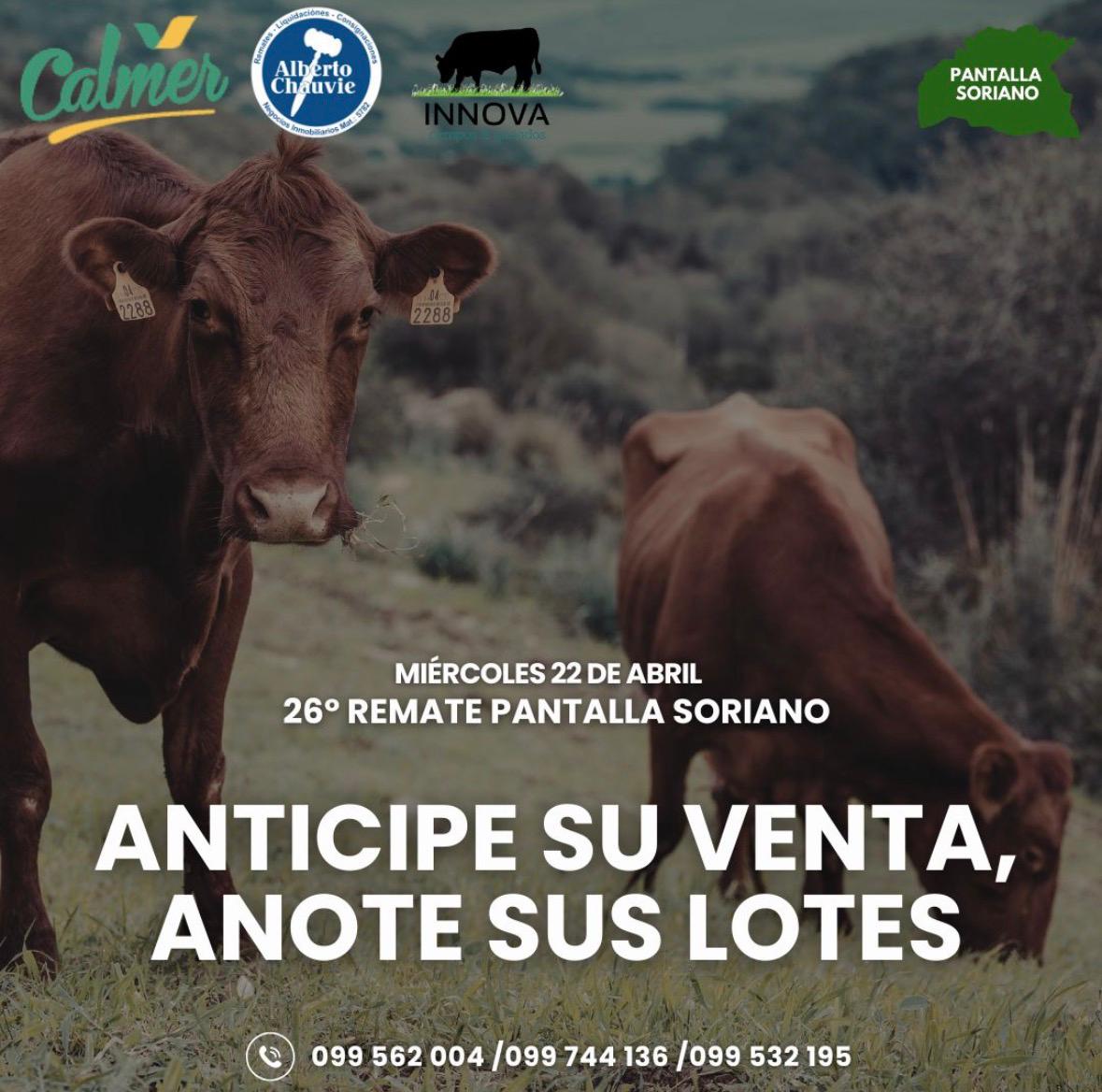 Afiche 26º Pantalla Soriano