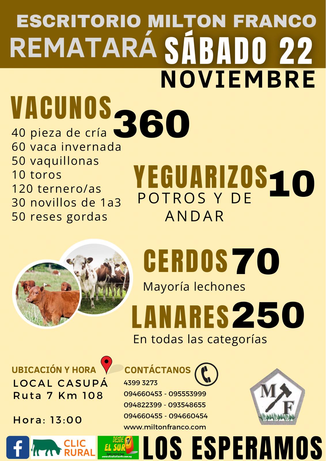 Remate 22 de Noviembre - Local Casupá