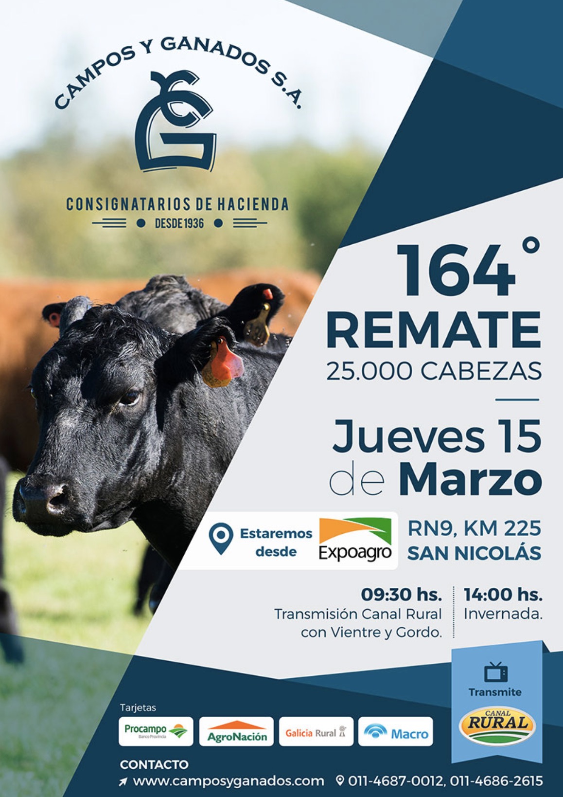 Afiche TELEVISADO 164° – BUENOS AIRES