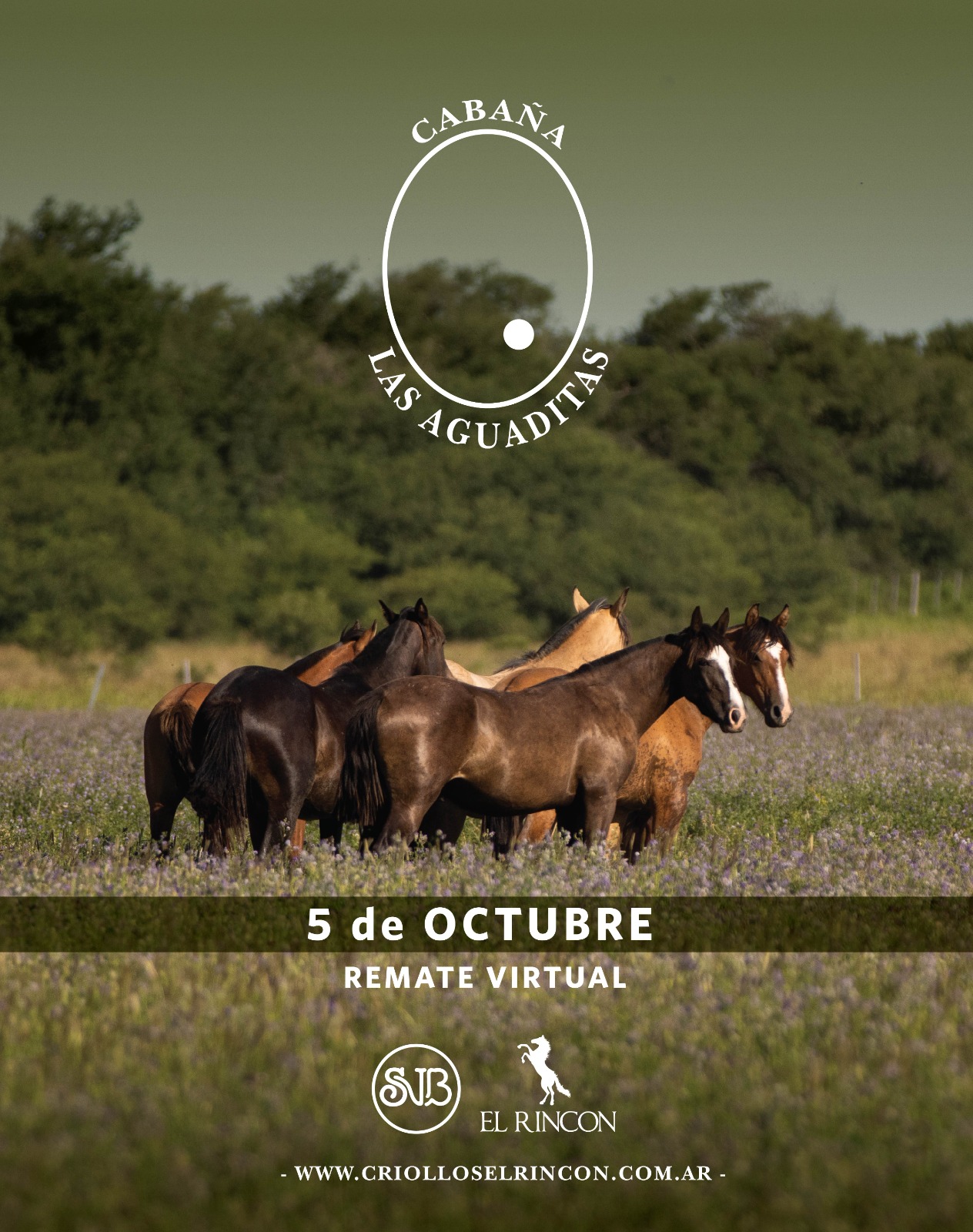 Afiche Las Aguaditas 