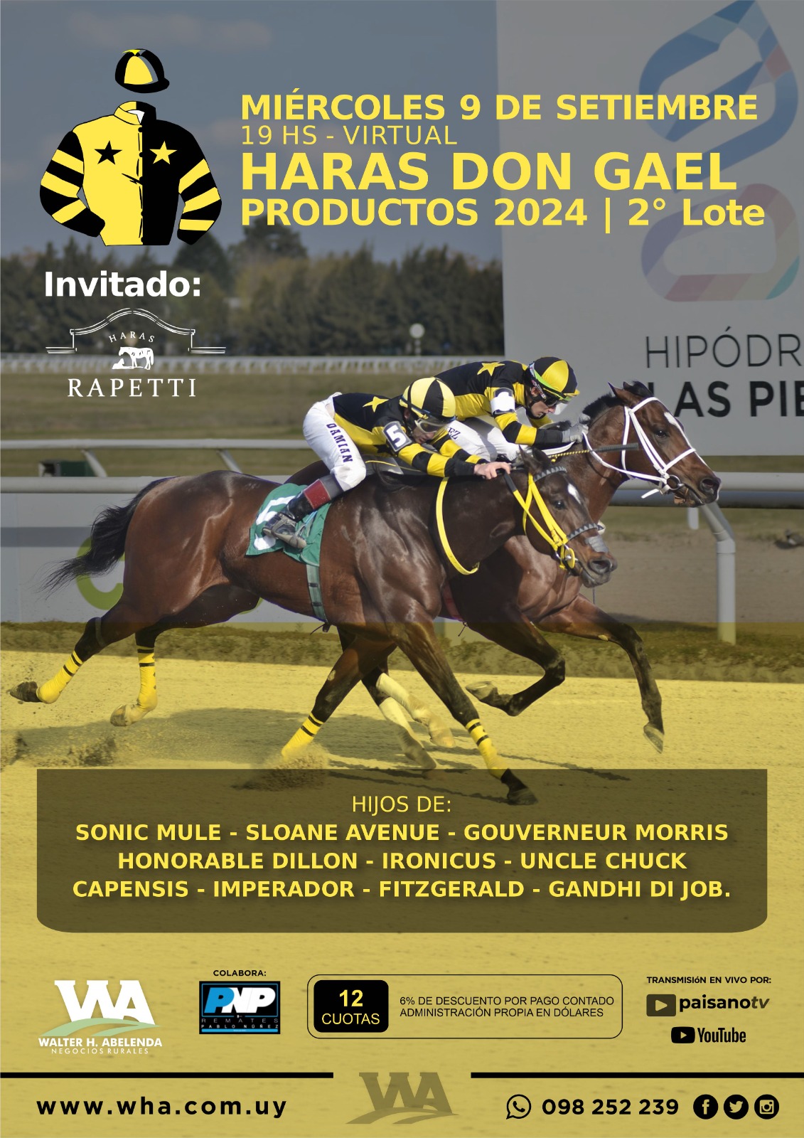 Haras Don Gael