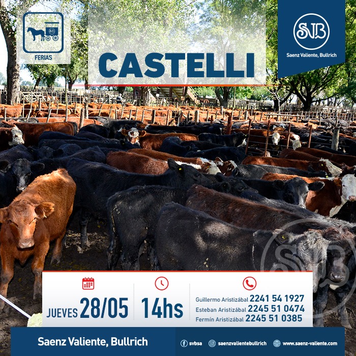 Feria en Castelli