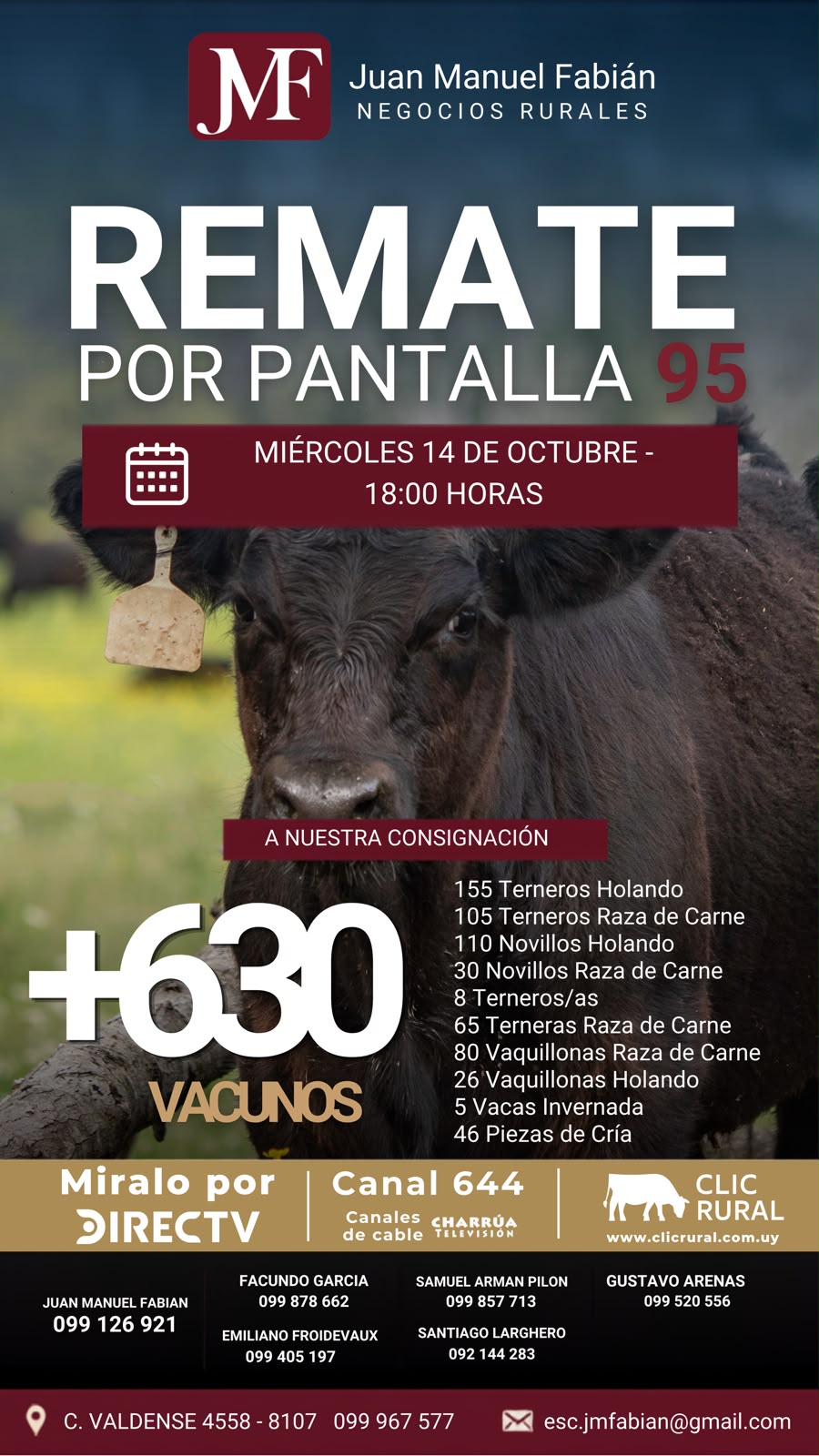 Afiche 95º Remate por pantalla