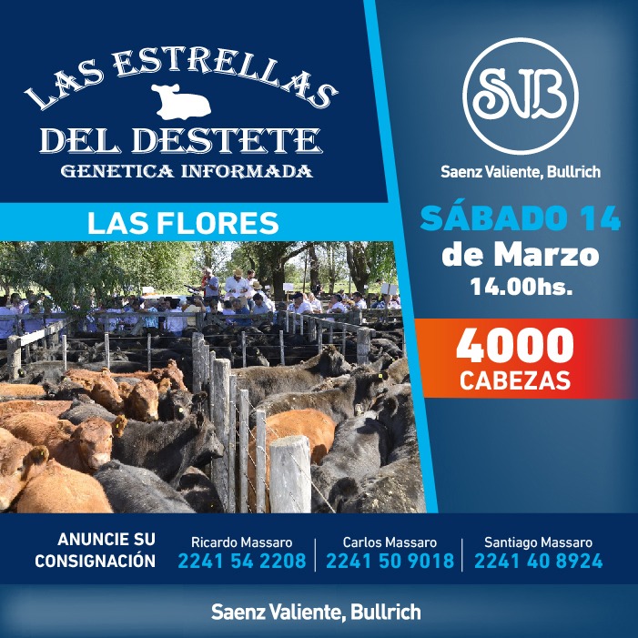 Las Estrellas del Destete