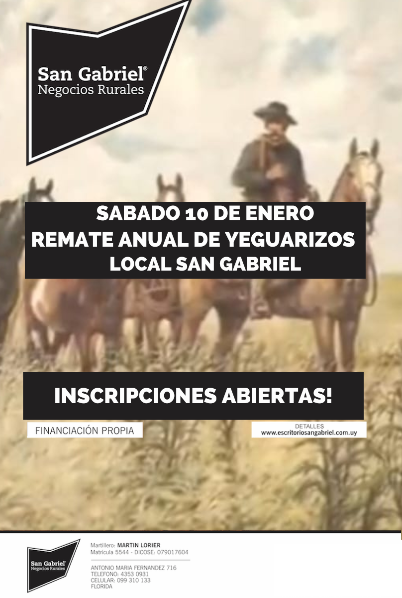 Remate Remate anual de yeguarizos