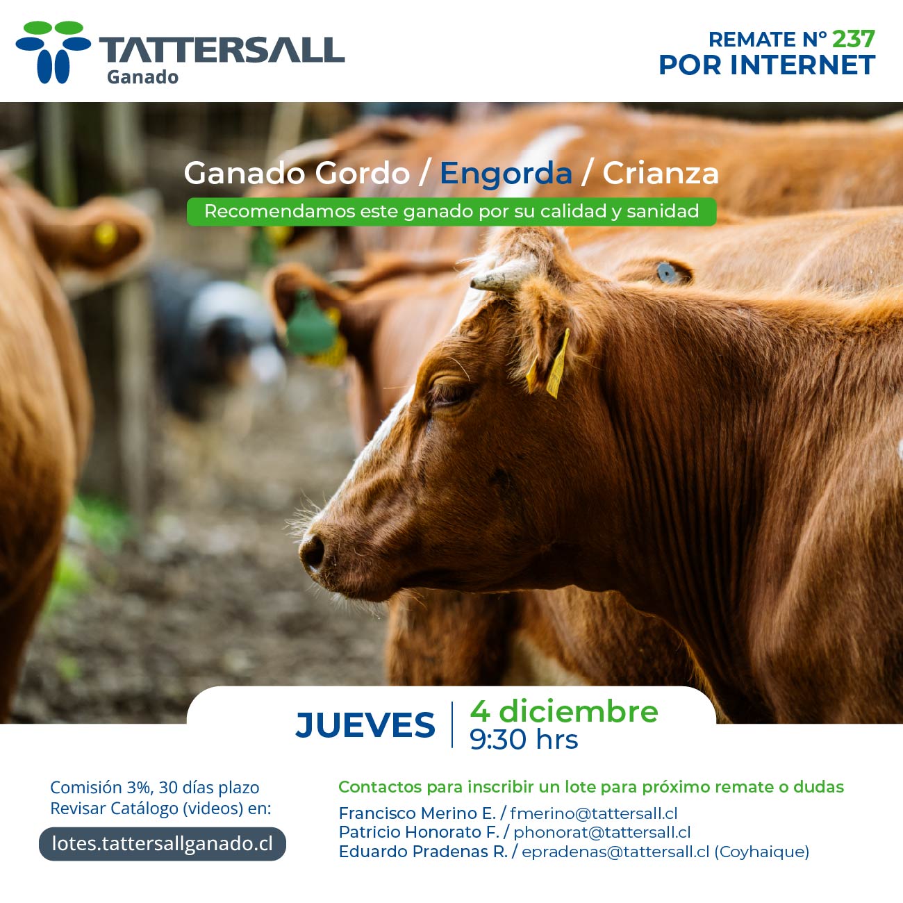 4 de Diciembre Ganado Crianza y Engorda